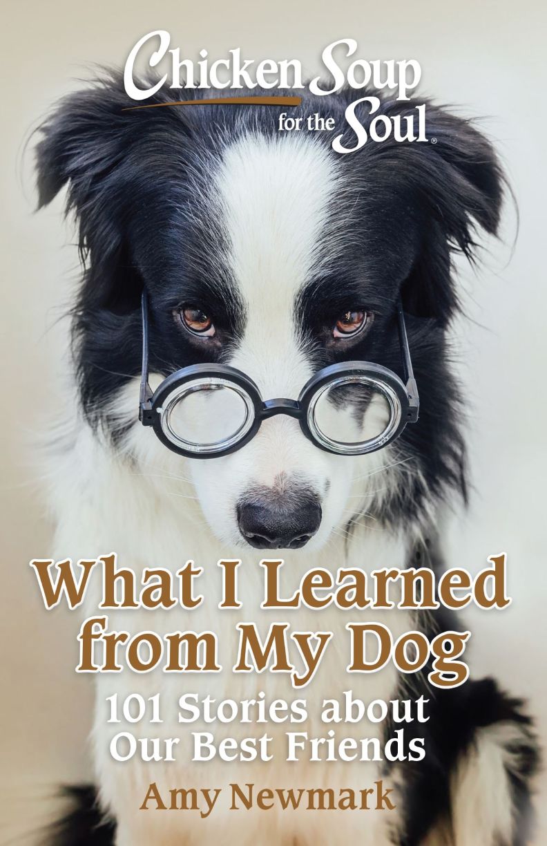 What-I-Learned-from-My-Dog - 60%